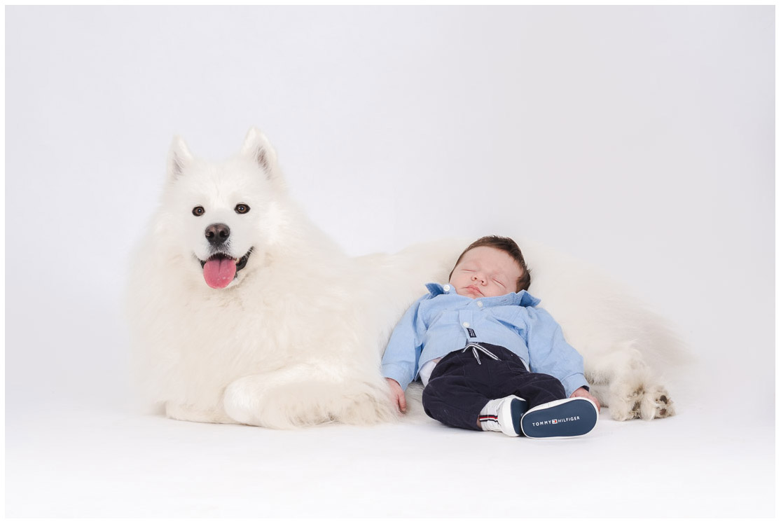 7 – photo chien et bébé