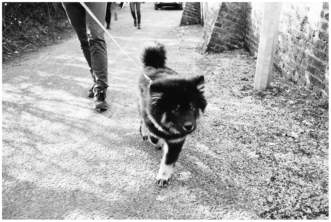 7—photographe-animaux-à-lille