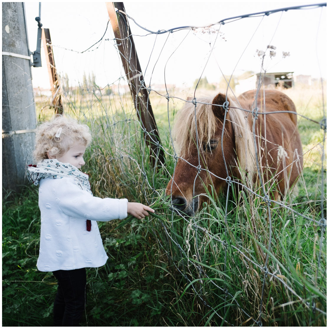 8 – photographe enfant lille
