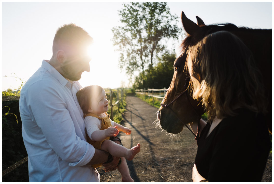 9 – photographe chevaux Lille