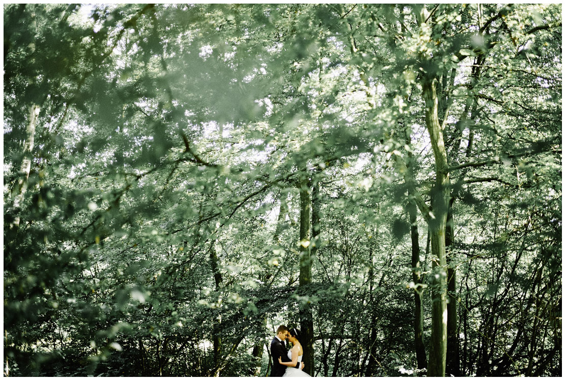 after-day-dans-la-forêt-de-phalempin