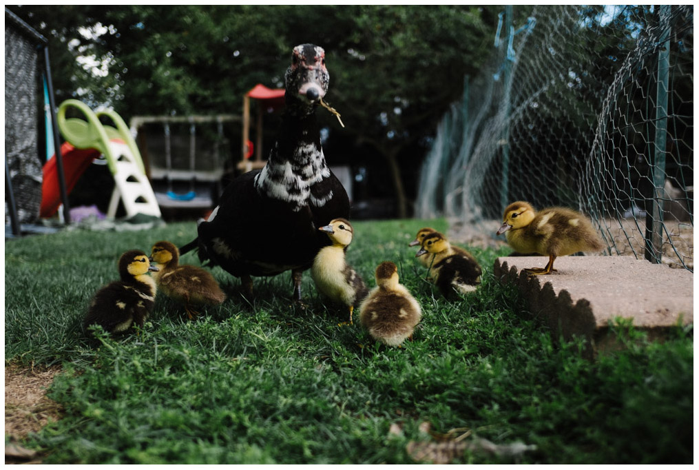 famille_200620-8